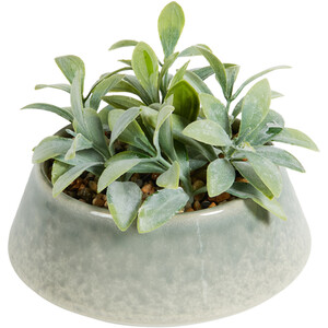 Faux Senecio in Reactive Glaze Pot - Green