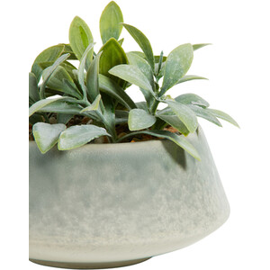 Faux Senecio in Reactive Glaze Pot - Green - Image 3