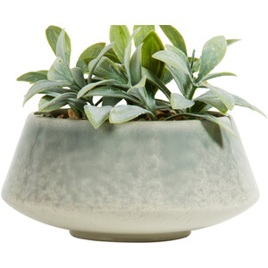 Faux Senecio in Reactive Glaze Pot - Green - Image 4